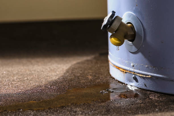 Best Commercial water damage restoration  in Gillette, WY