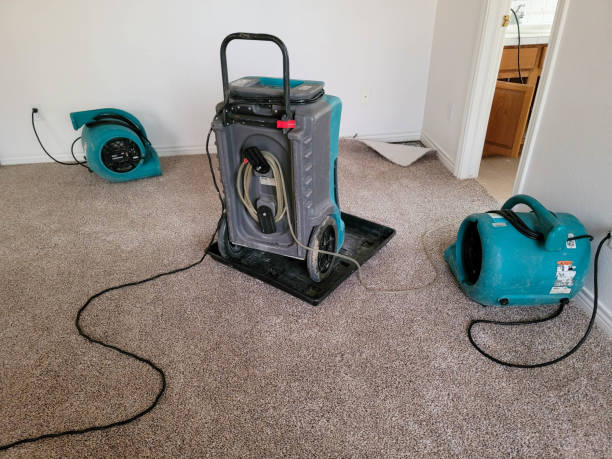 Gillette, WY Water damage restoration Pros