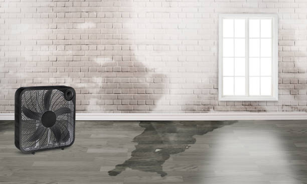 Fire Damage Restoration in Gillette, WY