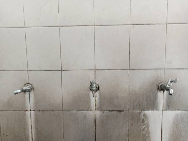 Best Professional water damage repair  in Gillette, WY
