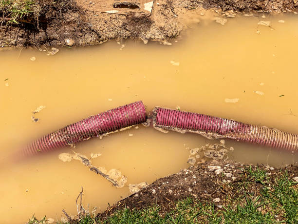 Best 24-hour water damage restoration  in Gillette, WY