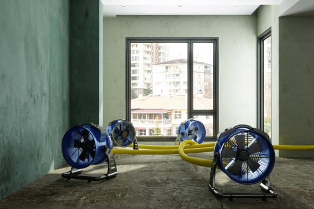 Best Residential water damage restoration  in Gillette, WY