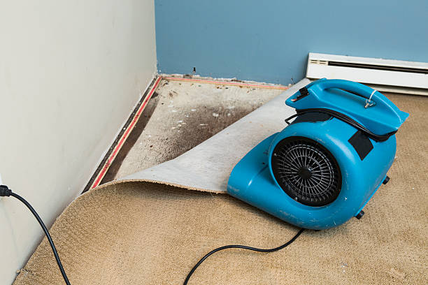 Best Water damage mitigation services  in Gillette, WY